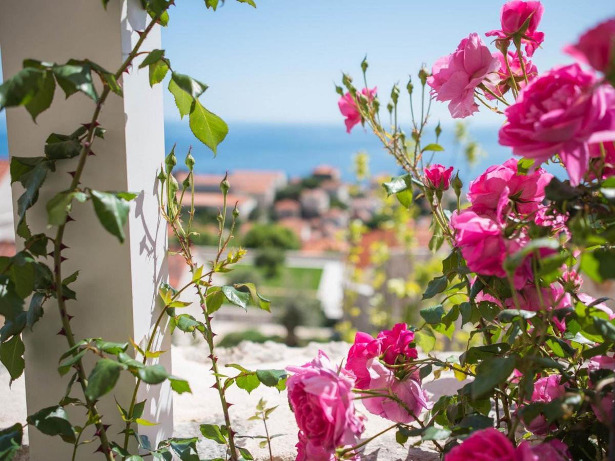 Apartment Faros Dubrovník Exteriér fotografie